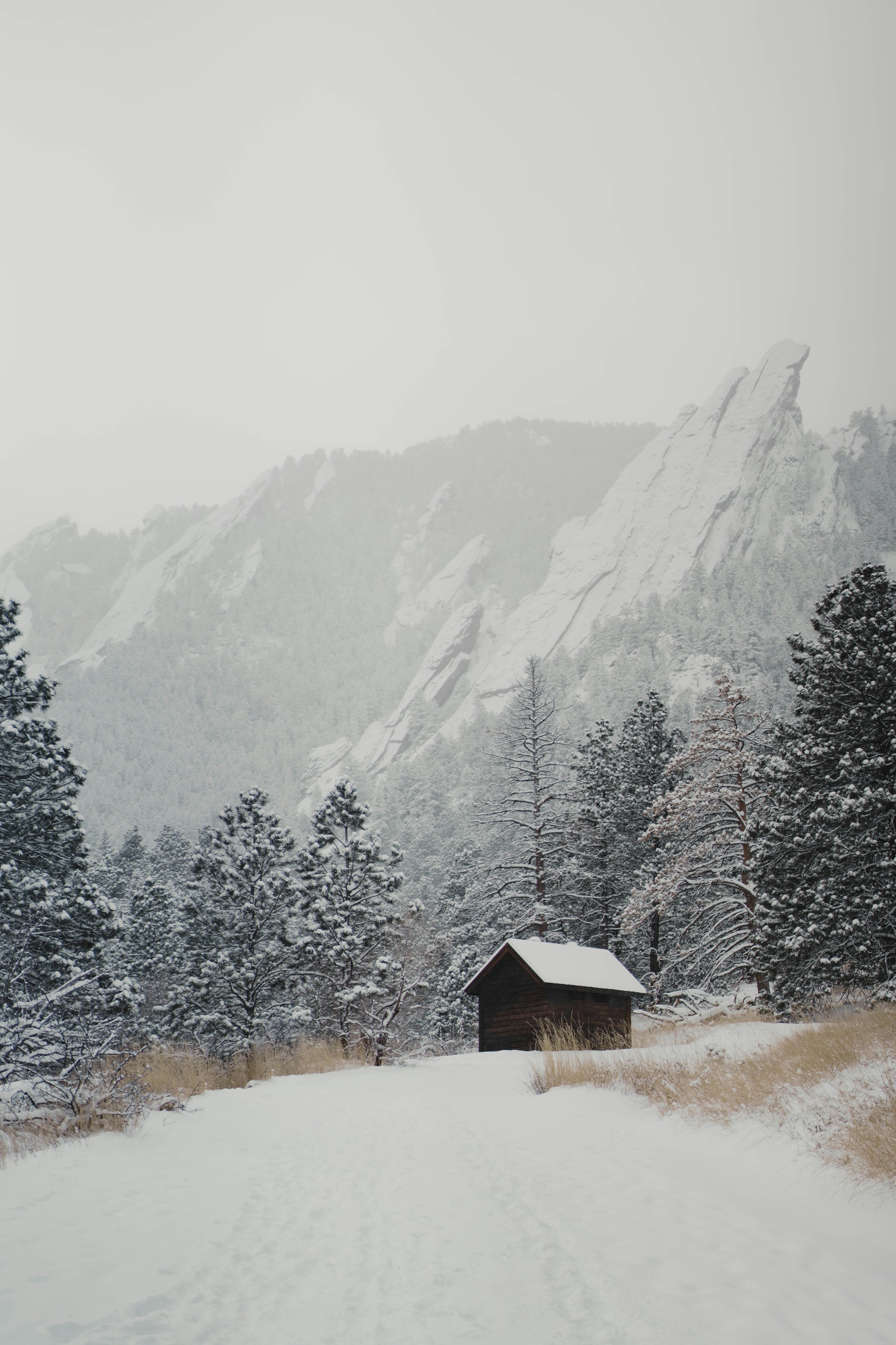 Isolated cabin beneath the Flatirons
