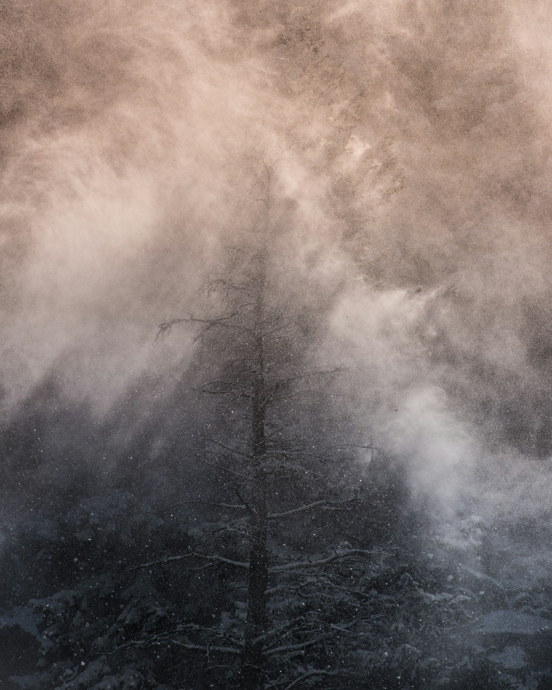 Signal through Colorado mountain mist